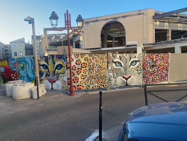 Quand BOUDI fait de l'Art Plastique!